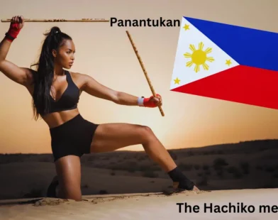 Panantukan DVD