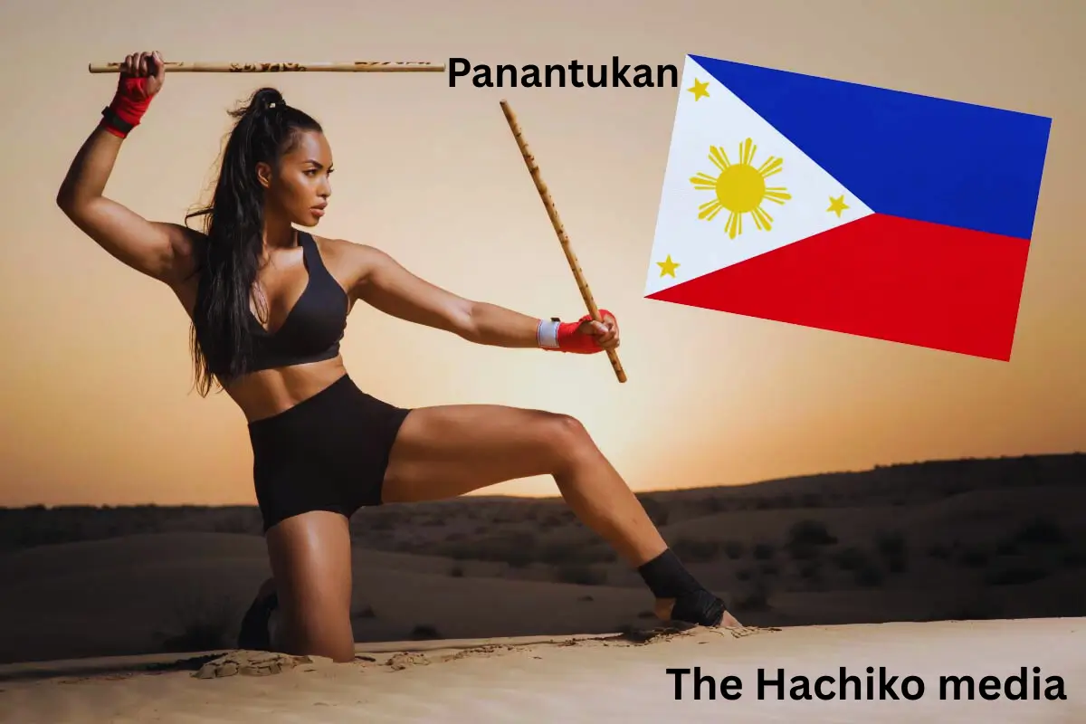 Panantukan DVD