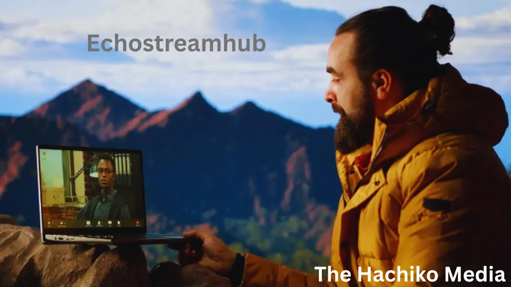 Echostreamhub