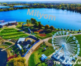 Milyom