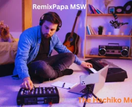 RemixPapa MSW