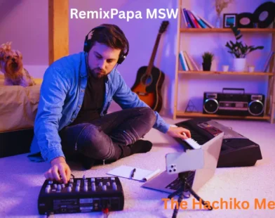 RemixPapa MSW